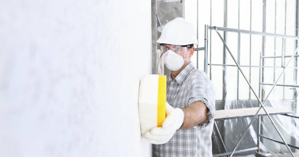 Reliable West Ocean City, MD Mold Removal Services Solutions